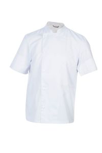 MADRAS MC